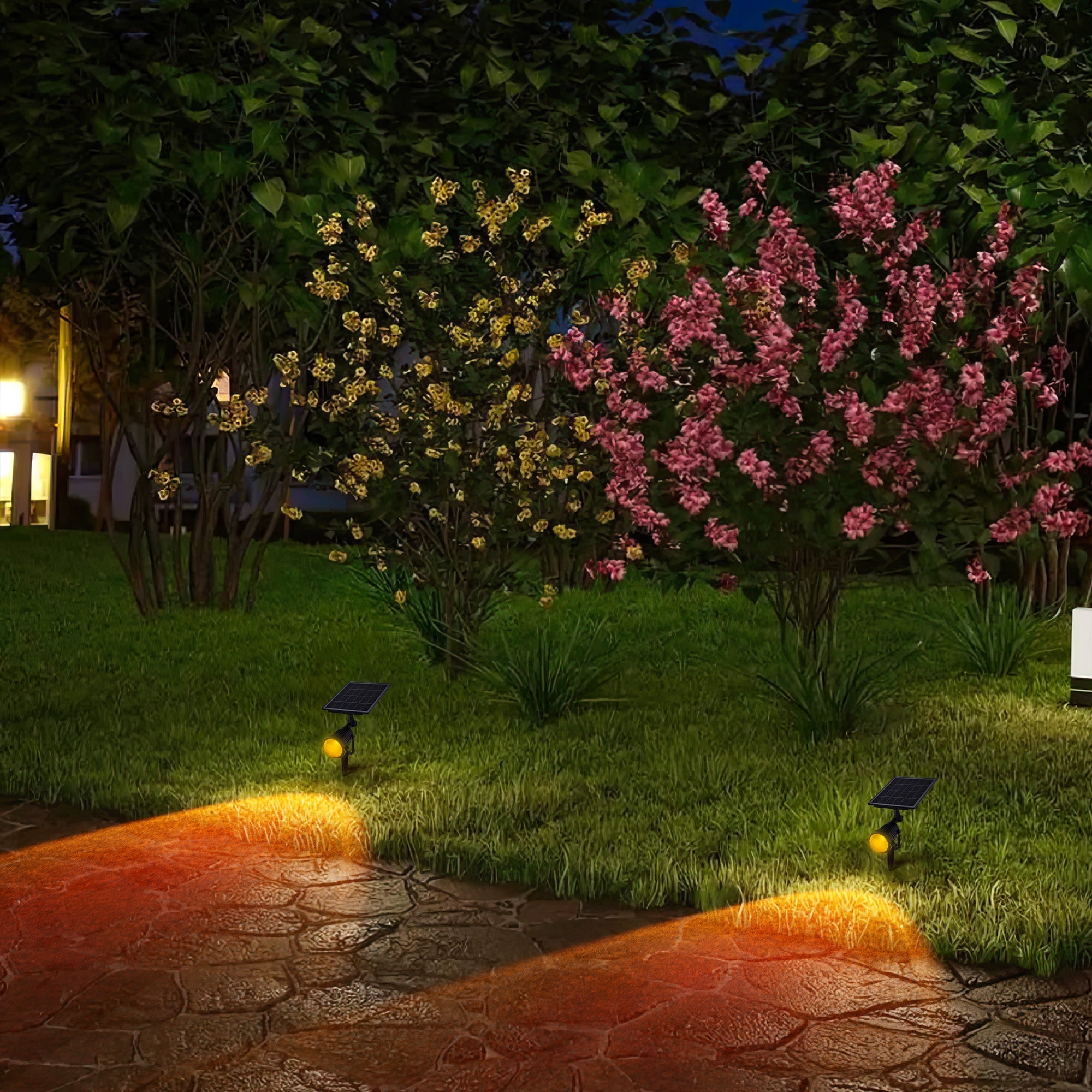 Solar Power Outdoor Sunset Projector Light casting warm, automatic solar sunset glow on garden pathway at night.