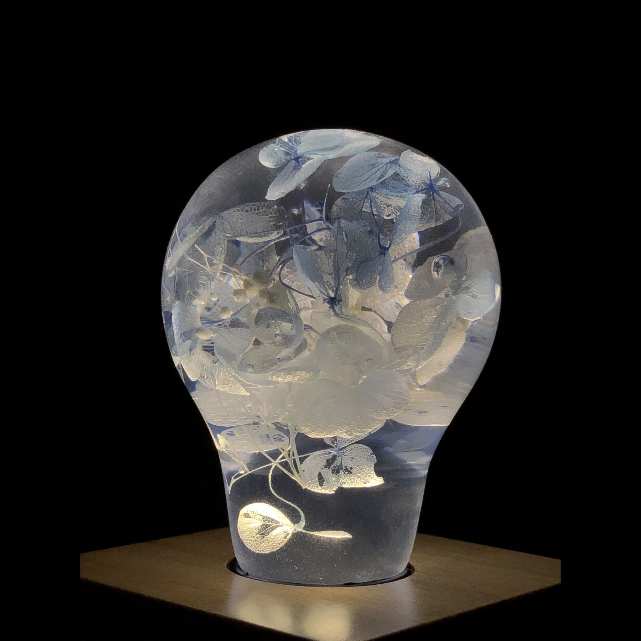 EP Light - Blue Hydrangea - XENTAR