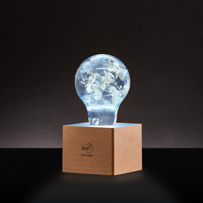 EP Light - Blue Hydrangea - XENTAR