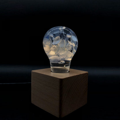 EP Light - Blue Hydrangea - XENTAR