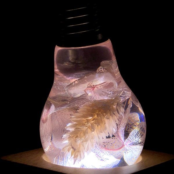 EP Light - Pink Hydrangea - XENTAR
